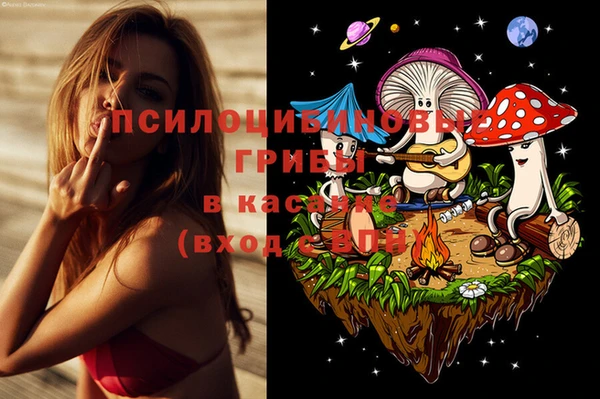 мяу мяу кристалл Богданович