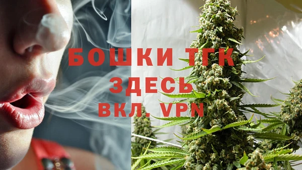 прущий лед Богородск