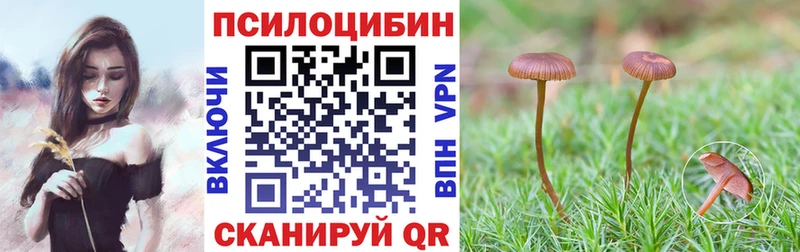 магазин продажи   Гай  Галлюциногенные грибы прущие грибы 