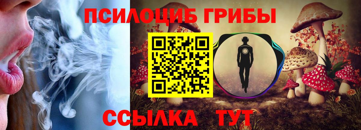Псилоцибиновые грибы MAGIC MUSHROOMS  даркнет сайт  Гай  Вход с VPN 