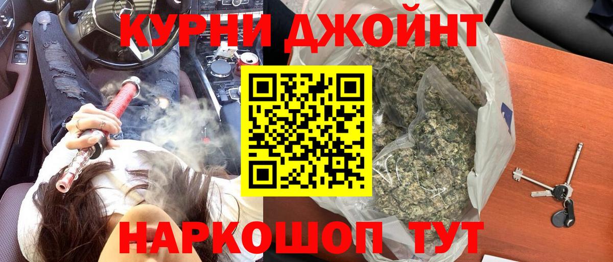 Канабис план Гай
